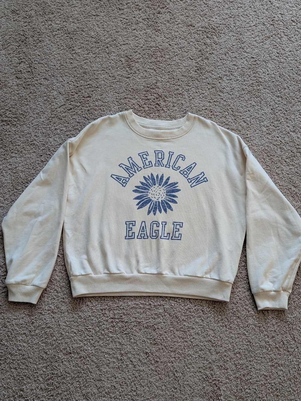 AE Sweatshirt